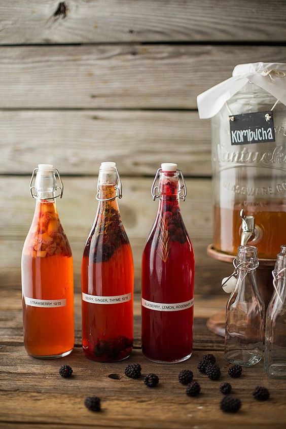 Cómo hacer kombucha casera